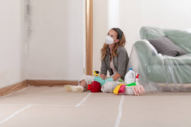Reliable Mold Inspection contractor in Lakehurst, NJ by WQB Mold Removal